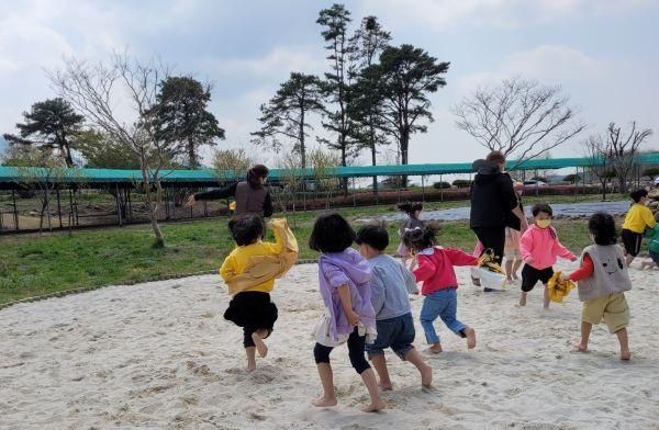 생생한 자연과 친구되는 시간 백두대간 에코큐브와 유아숲 체험원