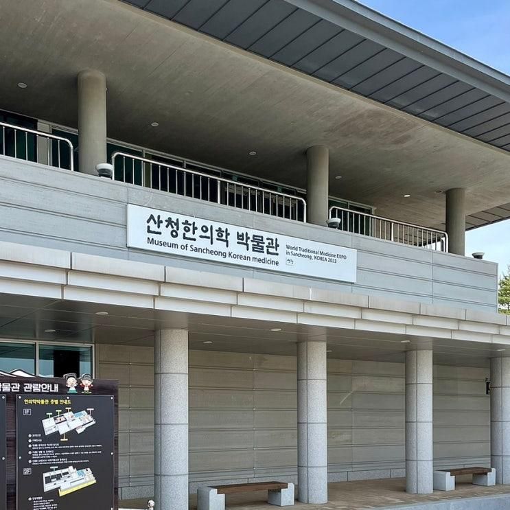 경남 산청 가볼만한 곳 ‘산청한의학박물관’ 5살 아이와...