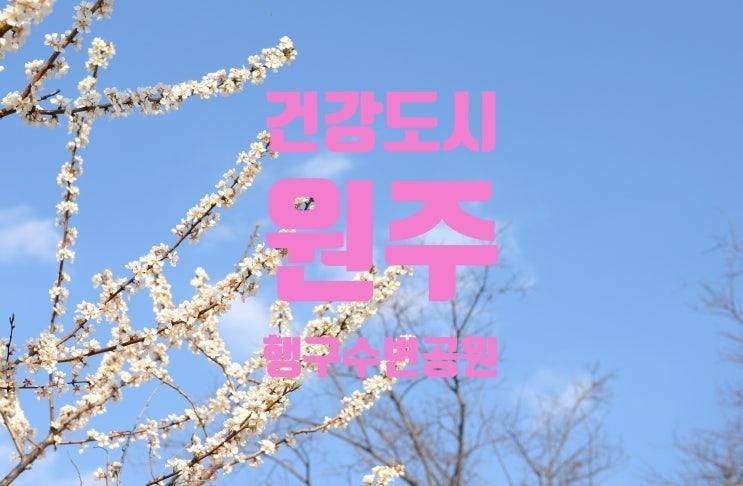 아이들과 가볼만한 곳, 원주 행구수변공원~