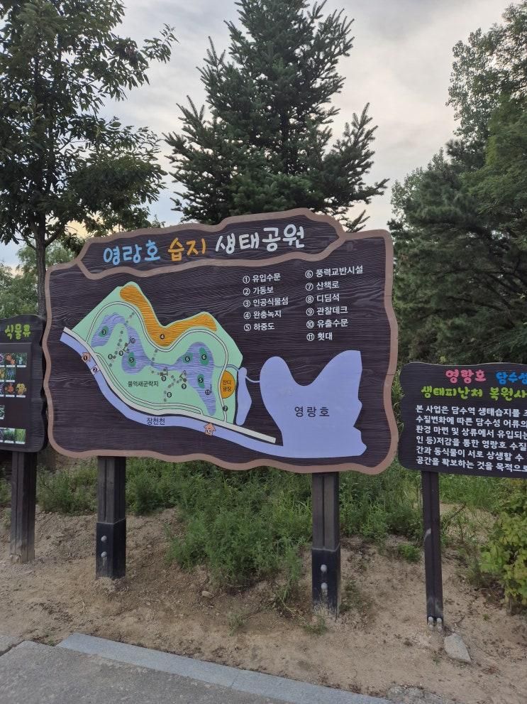 속초아이와갈만한곳 ☆영랑호어린이생태체험공원, 영랑호놀이터