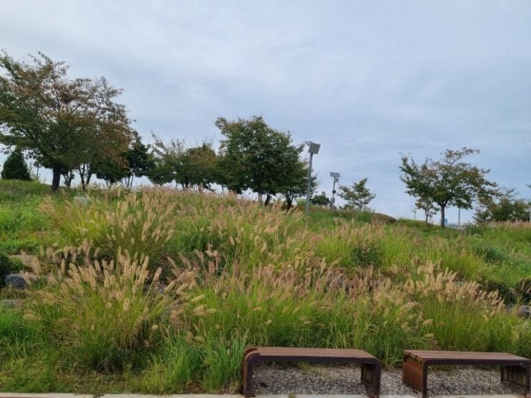 파주 운정 소리천 산책로 걷기 소리천카페 반려견 산책