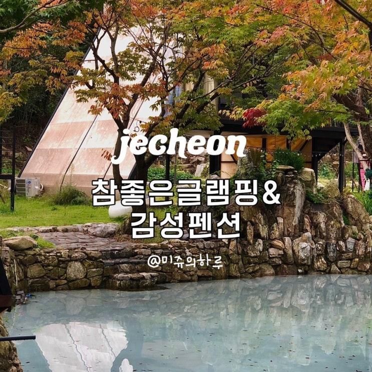 제천글램핑 자연과 힐링 단풍구경하기좋은 참좋은글램핑...