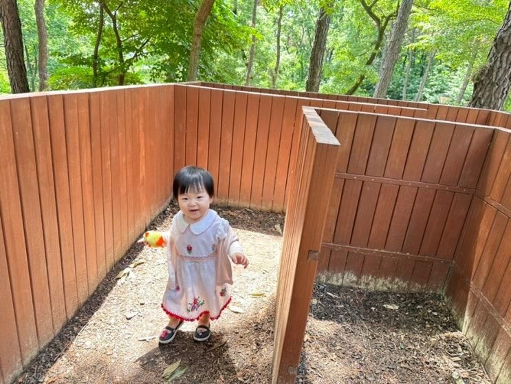 금촌유아숲체험원 파주아기랑 파주아이랑 산책하기 좋은곳