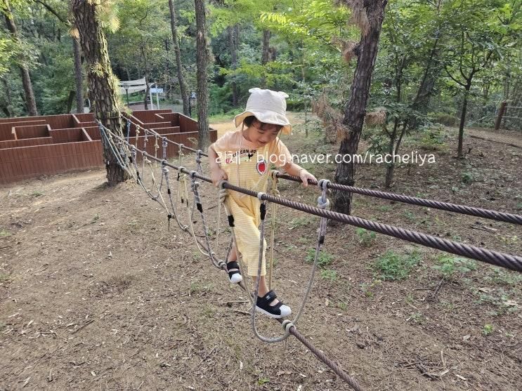 파주 숲놀이터 금촌 유아숲체험원 아기랑 다녀왔어요
