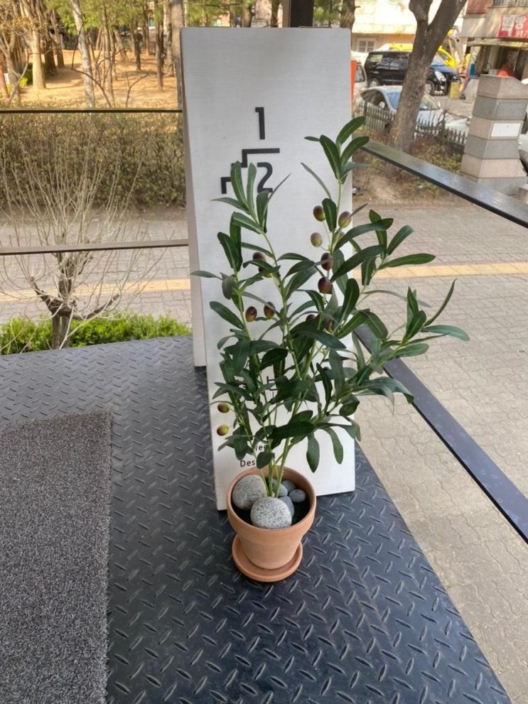 일산_ 카페 1층반