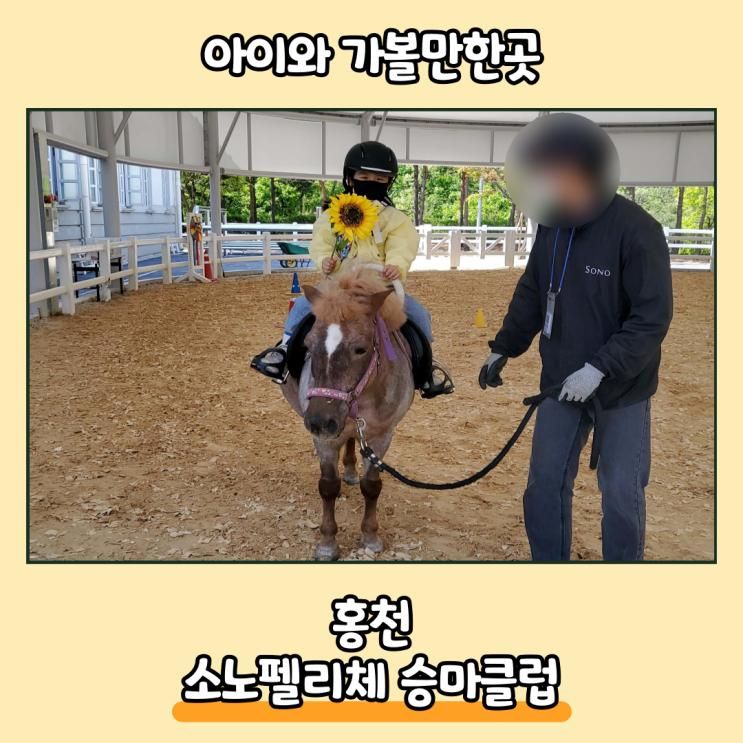 강원도 어린이 승마체험 아이와 가볼만한곳 소노펠리체 승마클럽