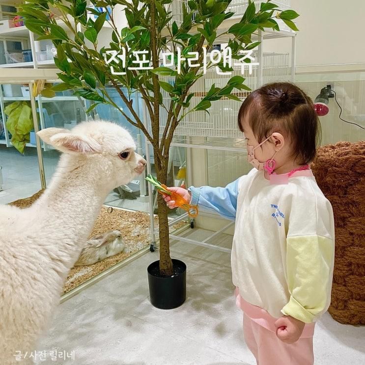 부산 실내 동물원 서면 마리앤쥬 아이랑 방문 이용꿀팁 및...