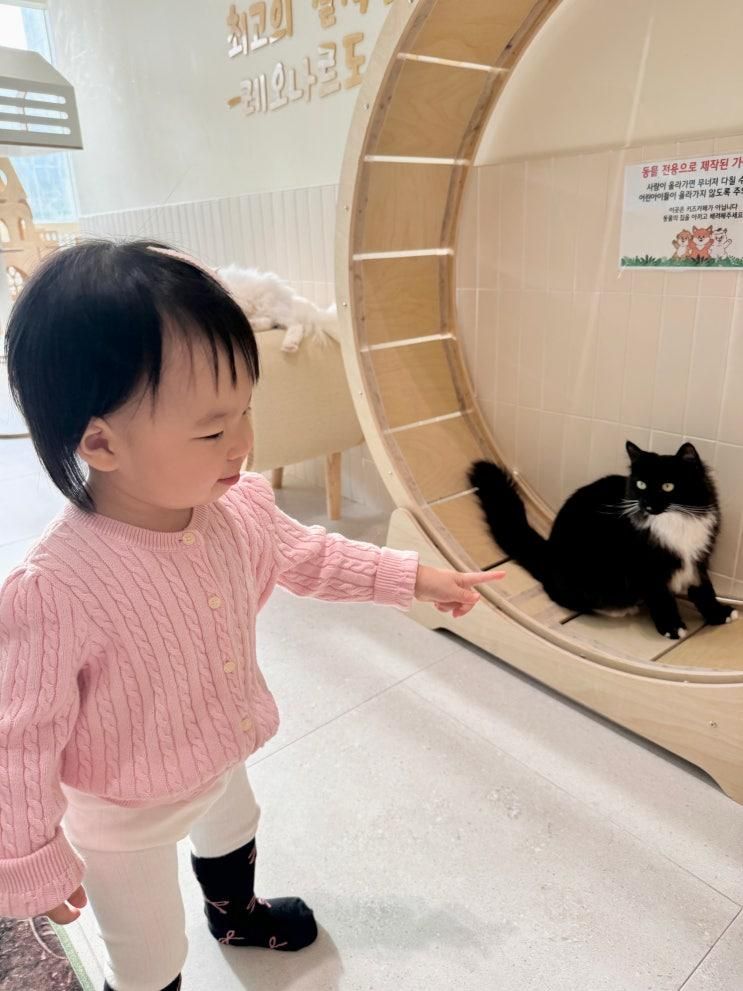 부산 서면 실내동물원 마리앤쥬 아기랑 갈만한곳 솔직후기