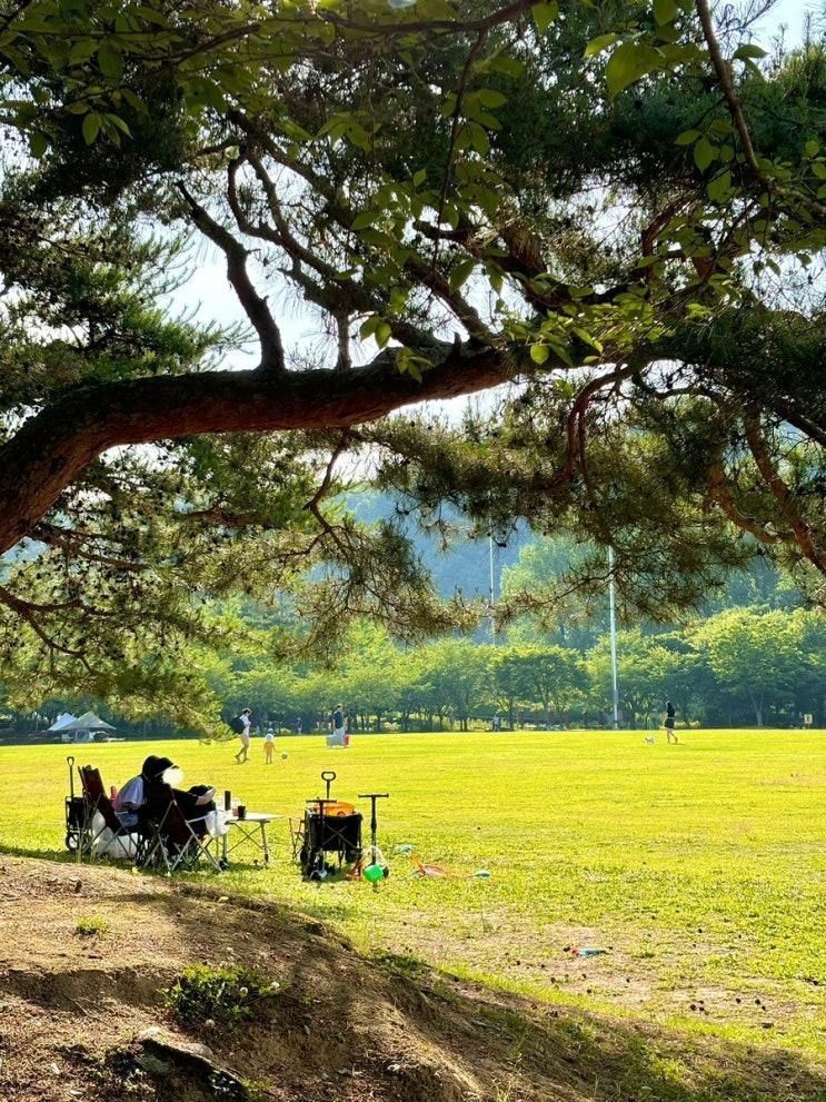 대전 가볼만한곳 금강로하스대청공원 가족 나들이 힐링 여행
