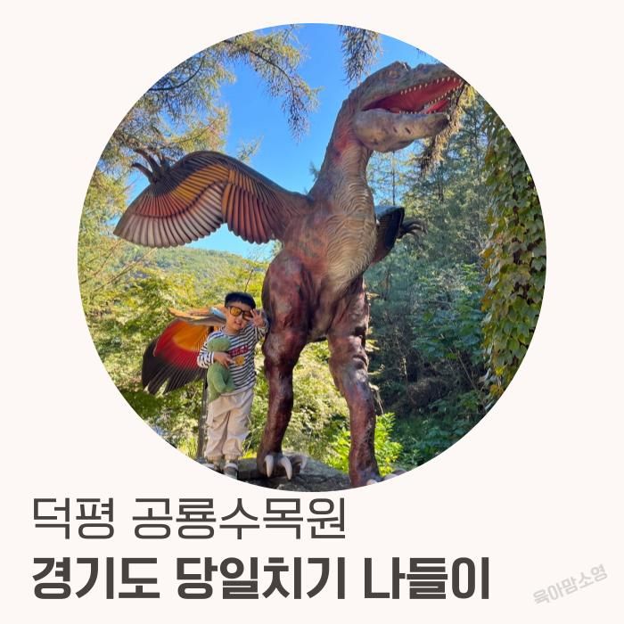 덕평 공룡수목원 37개월 아이랑 당일치기 나들이 (한 달에 세...