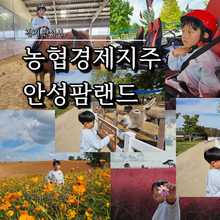 경기 안성팜랜드 승마체험 익싸이팅파크 핑크뮬리 등 하루...