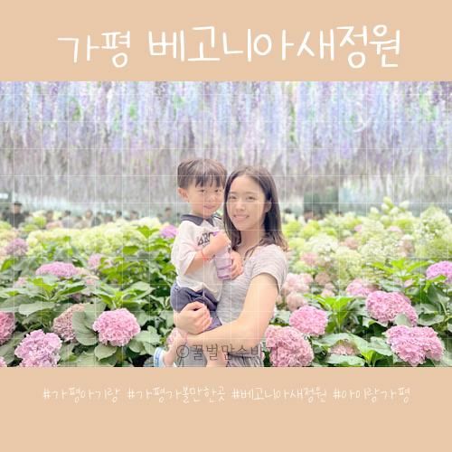 가평 아이랑 실내 가볼만한곳 '베고니아새정원' 추천해요!