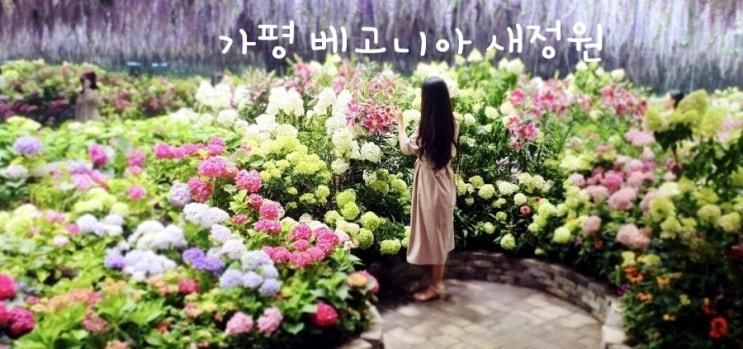 아이들과 함께 가평가볼곳) 베고니아새정원 데이트코스....