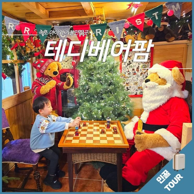 속초 테디베어팜 속초놀거리 아이와 가볼만한곳