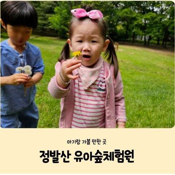[고양 일산 아기랑 가볼 만한 곳] 정발산 유아숲체험원/ 나들이...