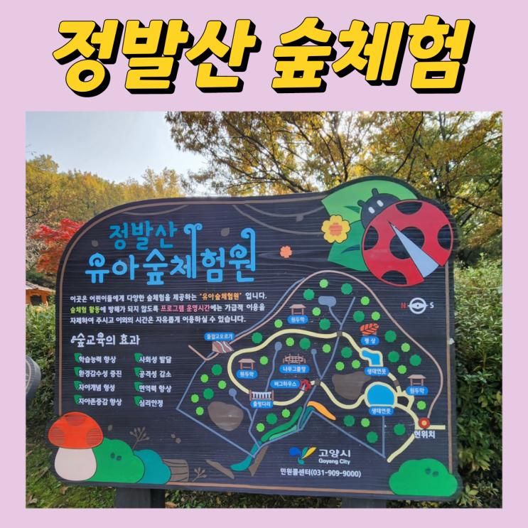 정발산 유아숲체험원 가을숲 나들이 , 고양 일산 아이와...