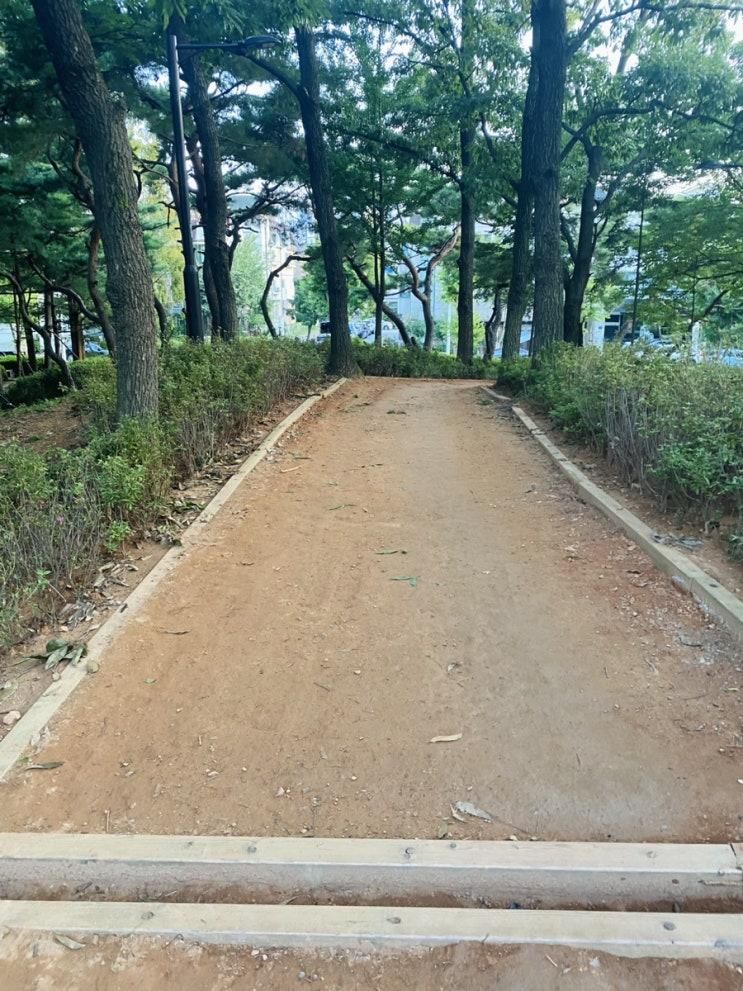 [대화동 성저공원] 일산 황토길 맨발걷기 산책로 코스
