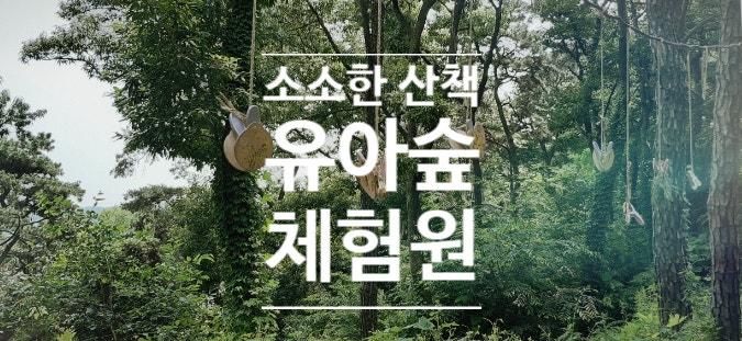 파주 나들이 쇠재공원 안 유아숲 어린이 숲 체험