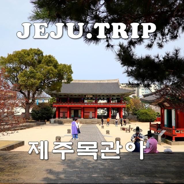 제주 공항 근처 볼거리... 사진찍기 좋은 곳 제주목 관아 주차장