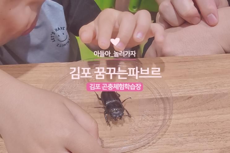 꿈꾸는파브르 여름학기 김포 곤충체험농장 아이랑 가볼만한곳