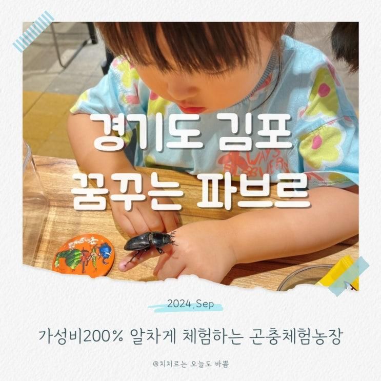 꿈꾸는파브르 김포 아이와 곤충 채집과 아트액자 체험