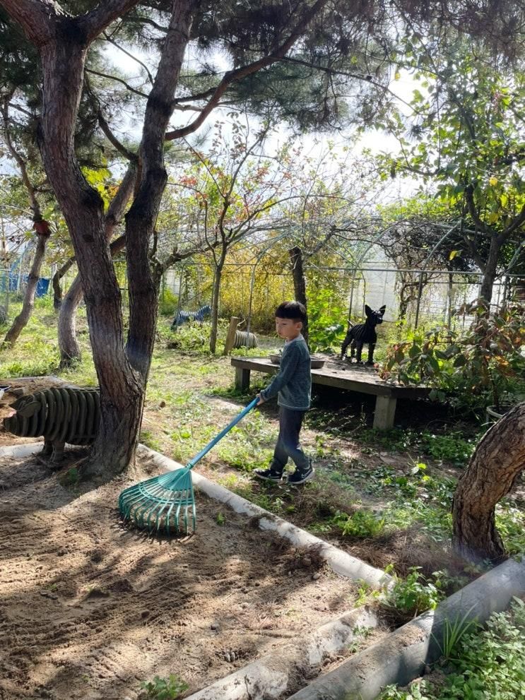 가을 농장 벼베기 체험 이천 비틀즈자연학교 + 리스트