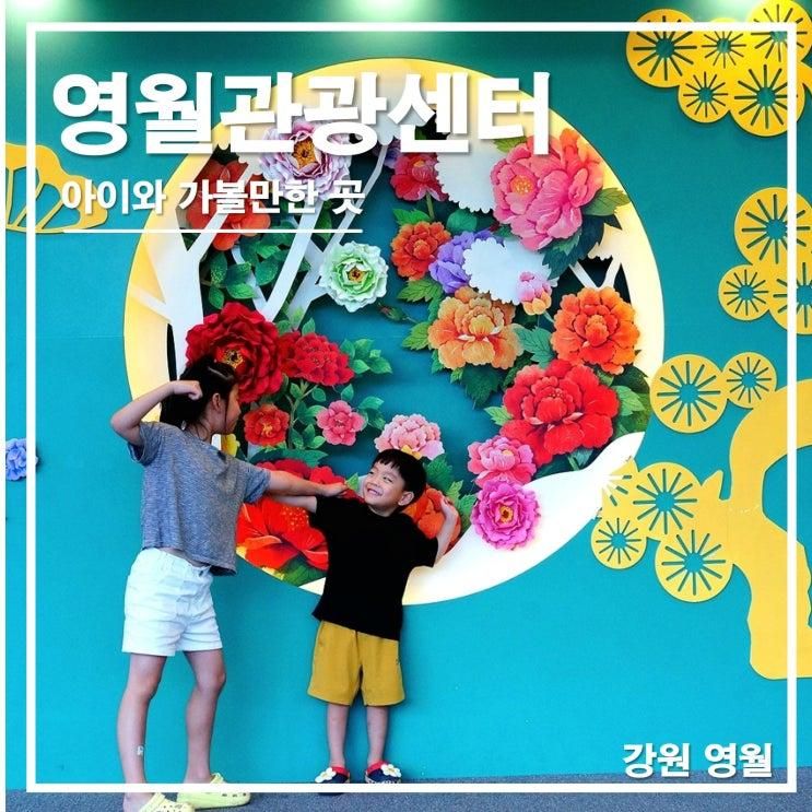 영월 실내 놀거리 영월관광센터 아이랑 방문 후기 꿀잼 강원도...
