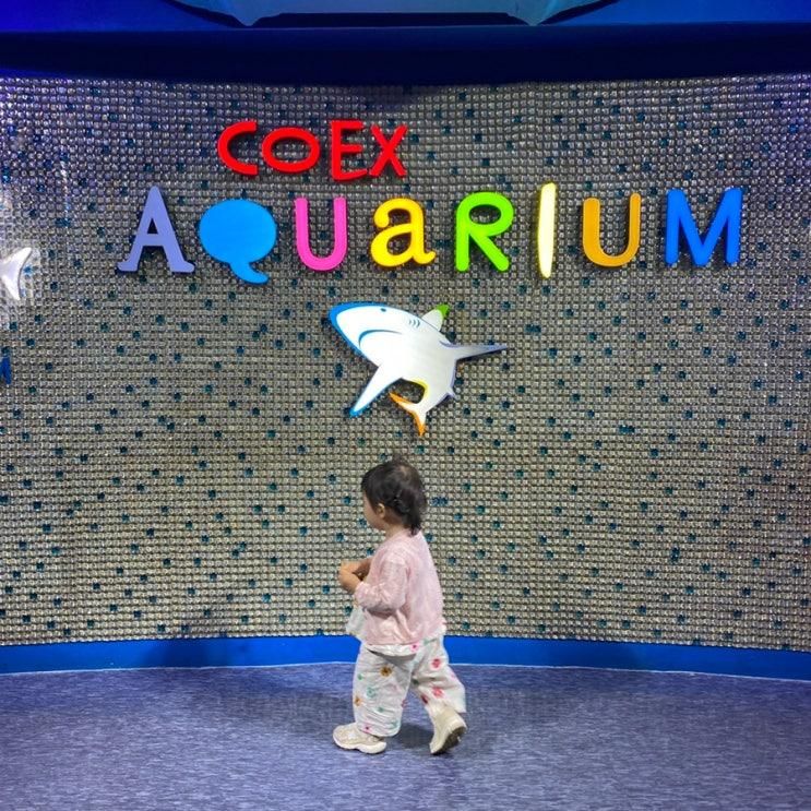 코엑스 아쿠아리움 18개월 아기와 함께
