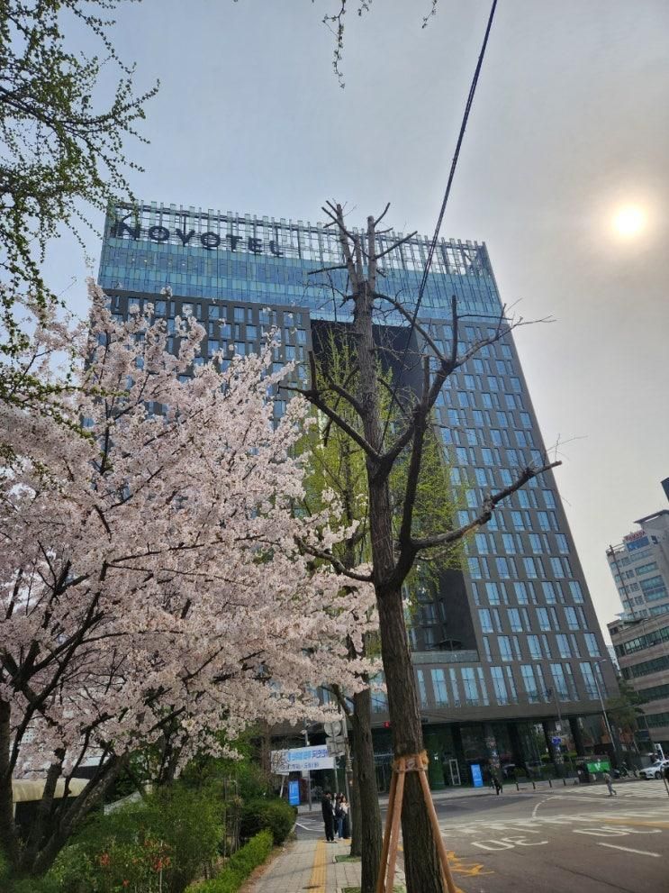 아이랑 호캉스추천 가성비5성급호텔  노보텔 앰버서더 동대문...