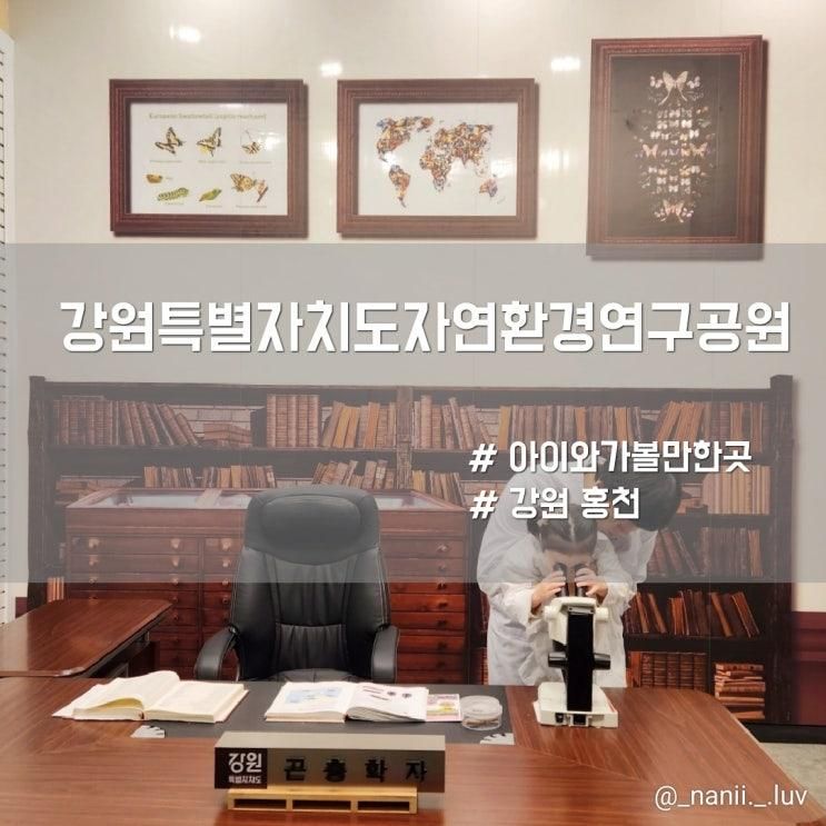 강원 홍천 아이와 무료 실내 가볼만한곳...