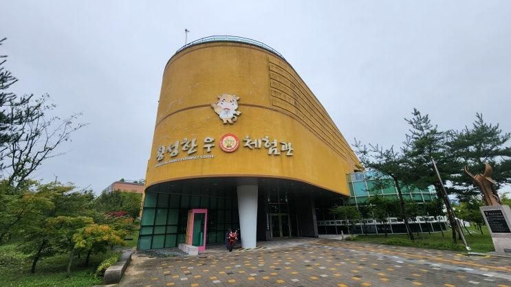 횡성 한우체험관, 한우불고기피자체험, 아이와함께하면좋은곳