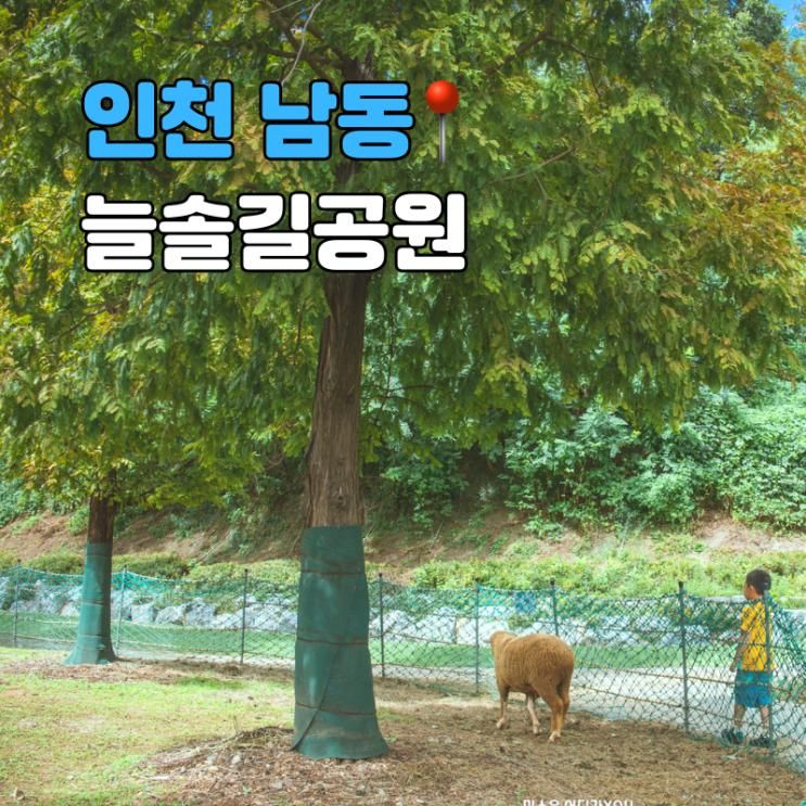 인천 늘솔길공원 양떼목장 주차장 주말나들이