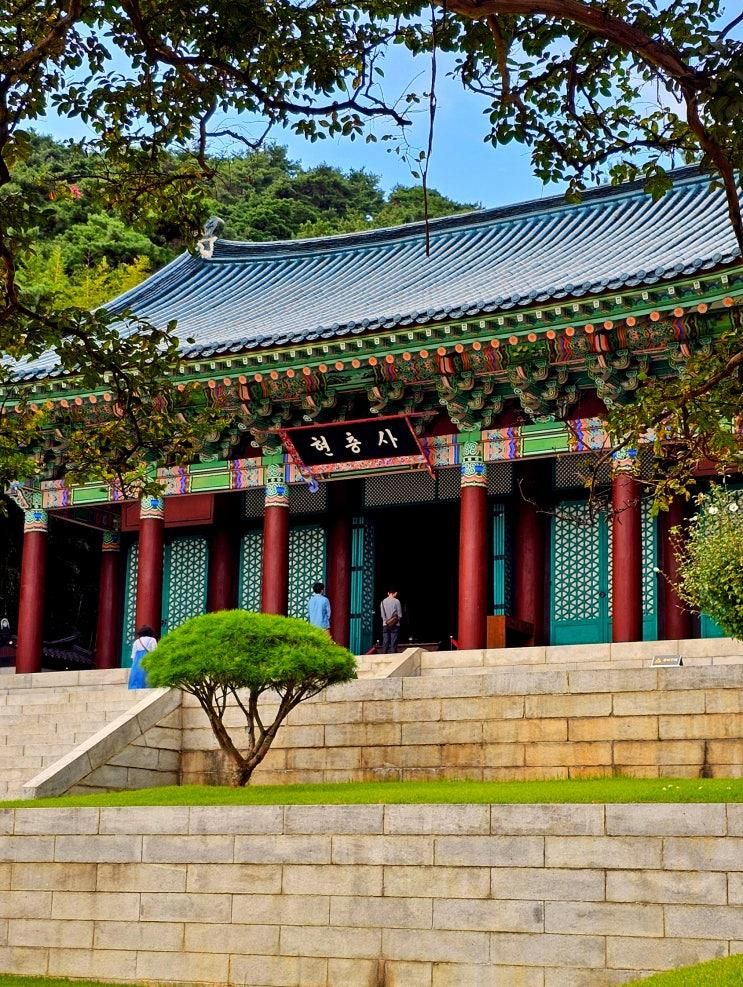 아산 현충사 곡교천 은행나무길 온양온천시장 당일치기 기차여행