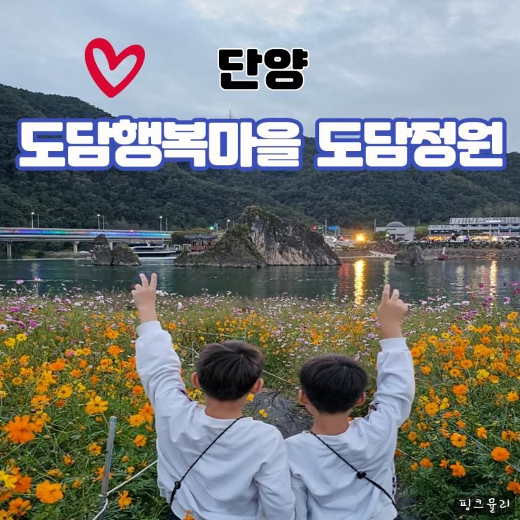 단양 가을꽃명소 도담정원이 있는 도담행복마을