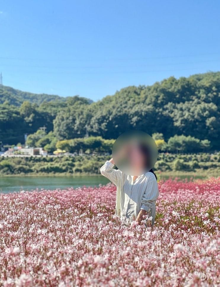 단양 여행 가볼만한 곳 다채로운 꽃이 있는 인생샷 명소 도담정원