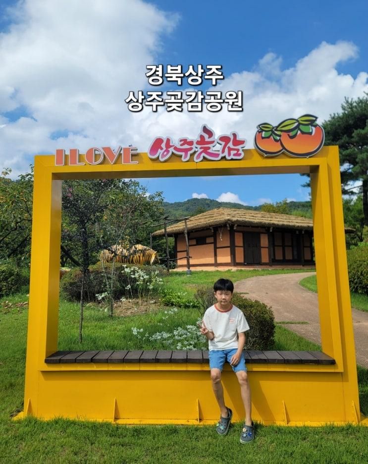 경북 상주 아이랑 갈만한 곳 상주곶감공원 감락원