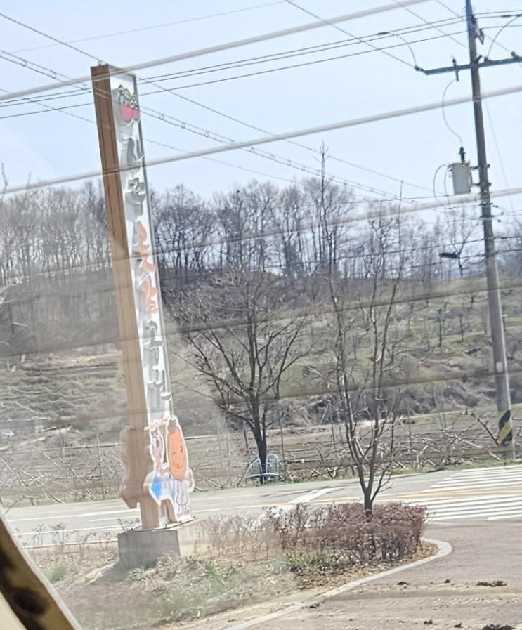 [경북 상주] 상주곶감공원 파머스그라운드 파머스룸