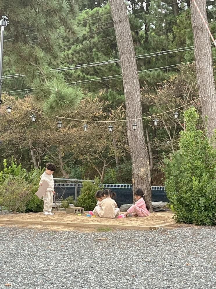충남 키즈캠핑장 서천 별빛하늘 갯벌 체험 캠핑장 키즈존