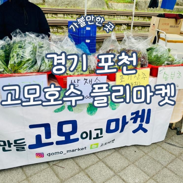경기 포천 플리마켓 고모 호수 공원 플리마켓