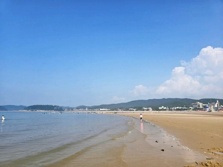 태안 아이랑 놀기 좋은 바다 만리포 해수욕장