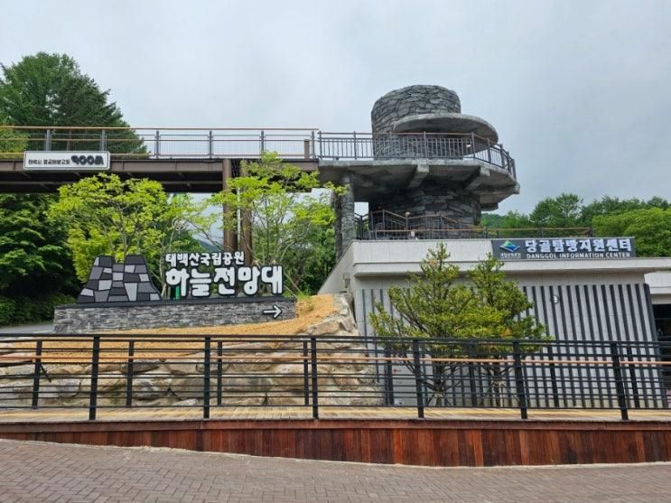 태백산국립공원 하늘전망대, 숲속놀이터네요