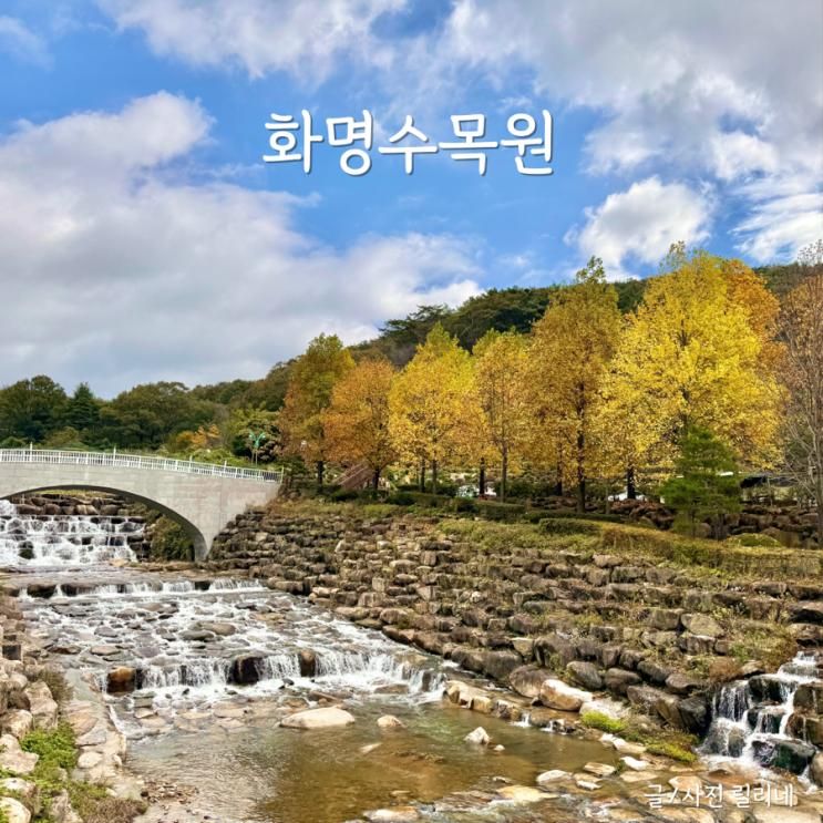 부산 단풍 명소 화명수목원 구경 시기 지도 실시간 정보