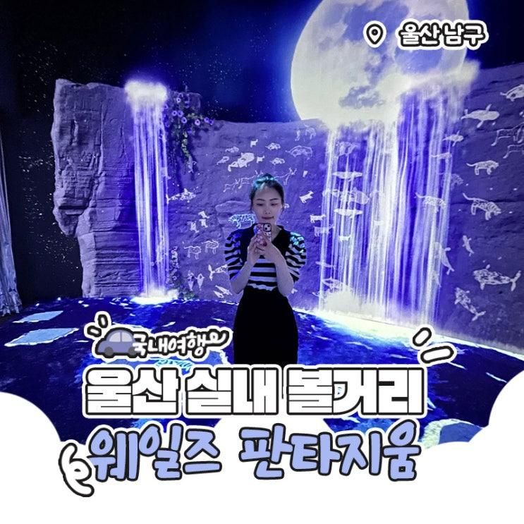 실내 놀거리 화려한 고래 미디어아트 장생포 웨일즈 판타지움