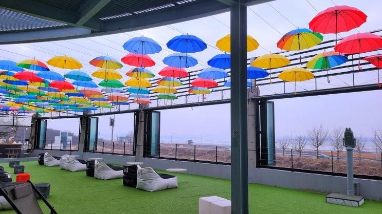 한강과 북한 땅이 보이는 파주 루프탑카페 '카페 서' 리뷰