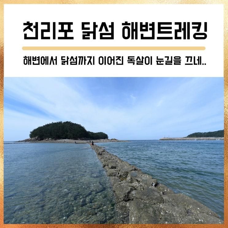 천리포 독살체험, 닭섬 등대까지..(태안여행/태안 가볼만한곳)