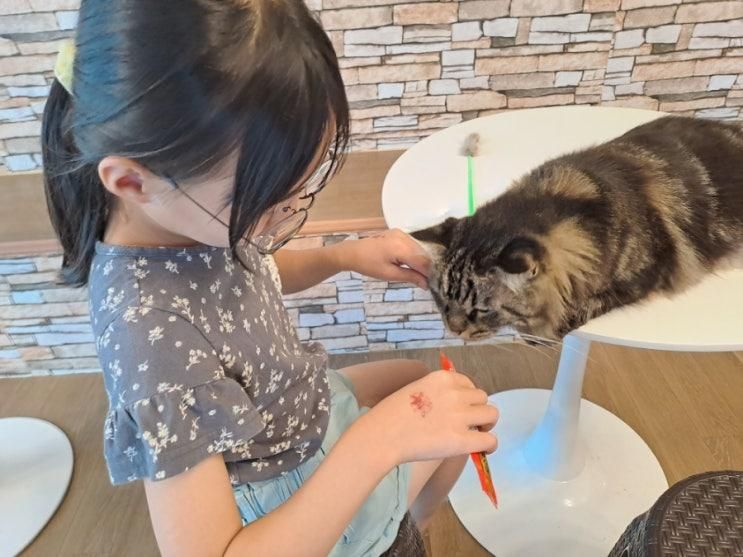 [리뷰] 집사의 하루 홍대점/ 홍대 고양이 카페/선한 소비 유기묘...