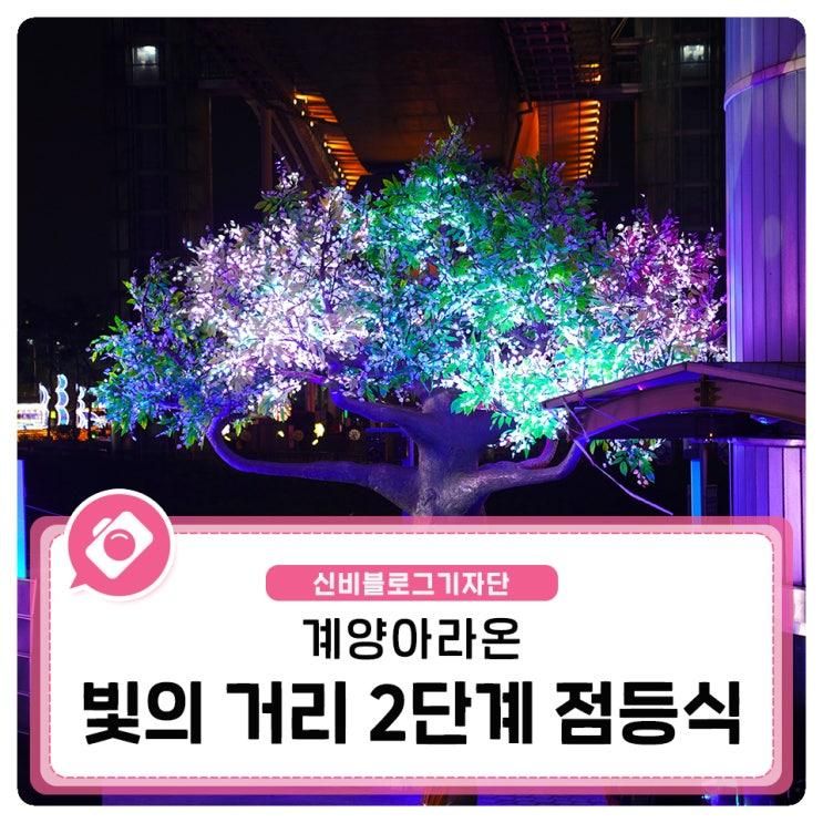환상의 나무 보러 오세요! 계양아라온 빛의 거리 2단계 조성