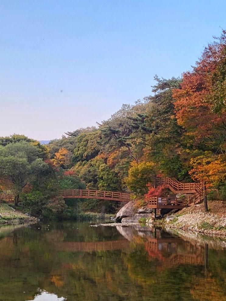 공주 당일치기 여행코스 공산성, 마곡사 단풍