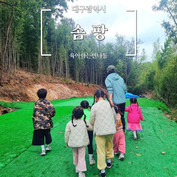 대구키즈카페 솜팡 : 숲체험과 미술놀이 그리고 키즈풀까지