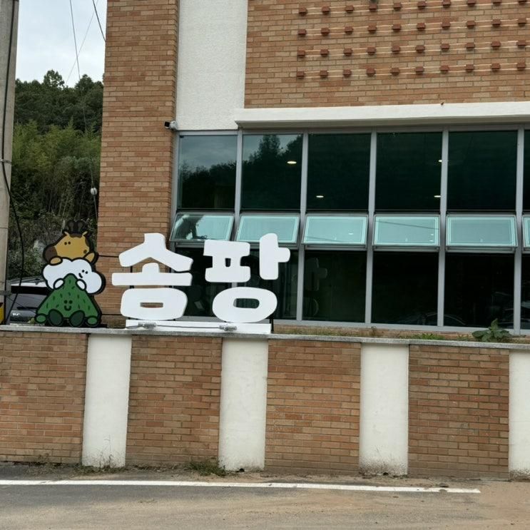 대구대형키즈카페 숲체험 수영 미술놀이 체험형키즈카페 '솜팡'